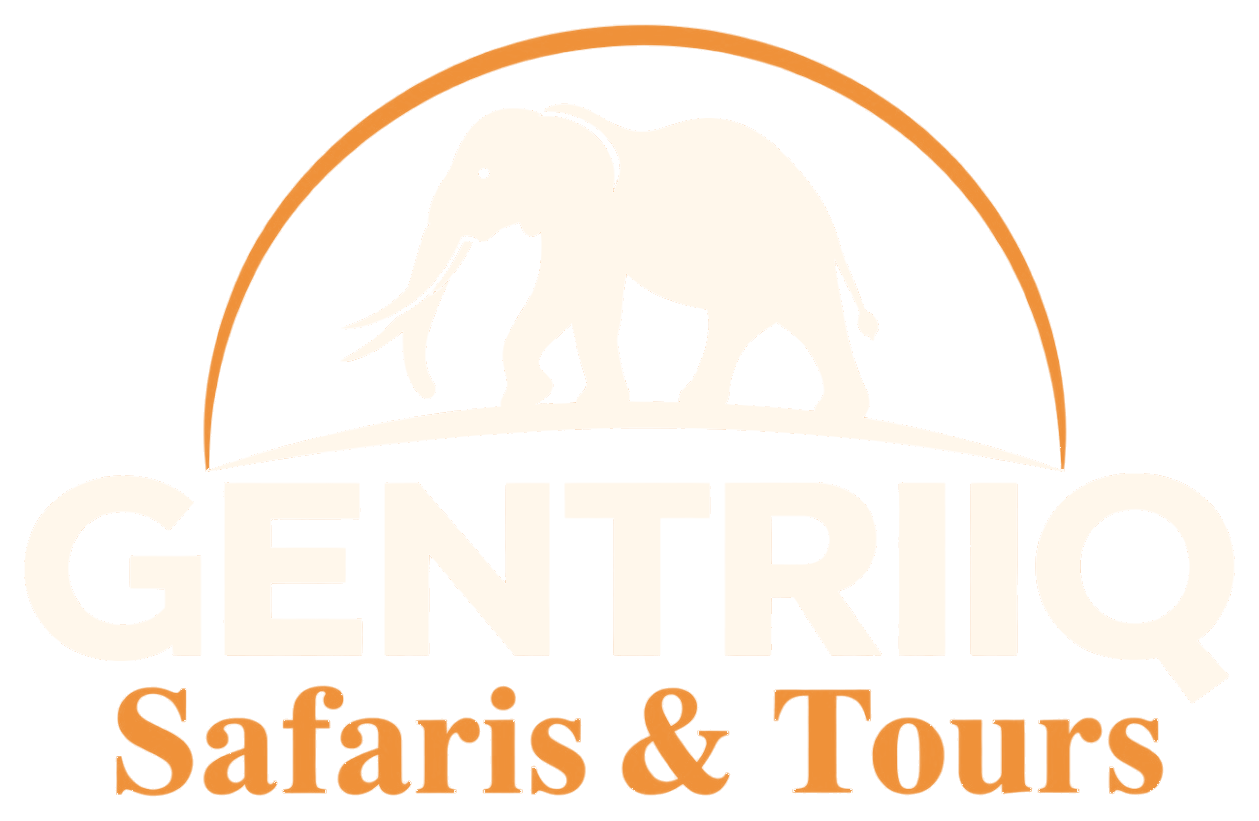 Gentriiq Safaris & Tours
