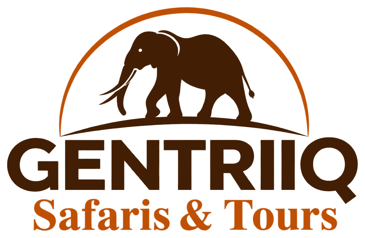 Gentriiq Safaris & Tours